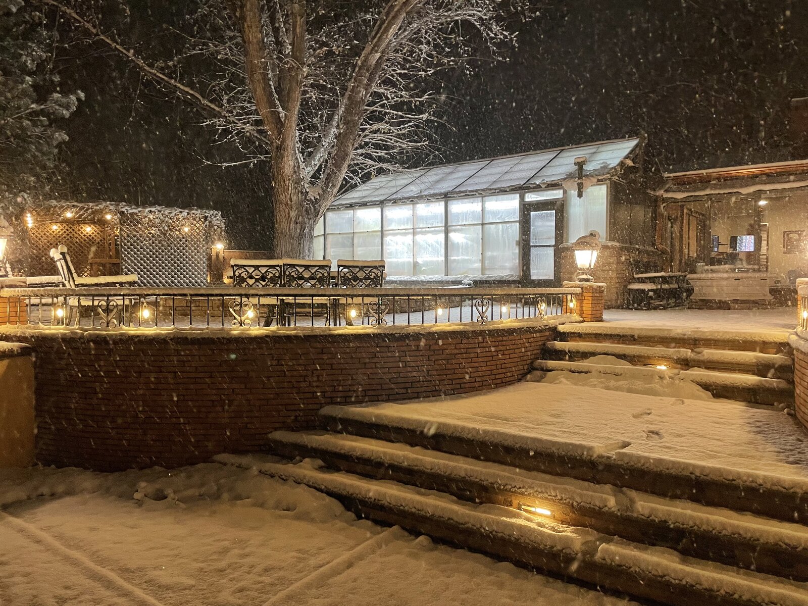 The greenhouse glowing through snowfall on a winter night